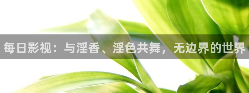 99视频免费观看1区
