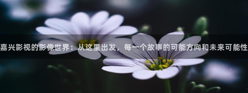 99视频免费视频