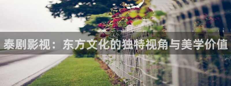 99视频久久久