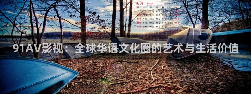 99视频在线观看成人