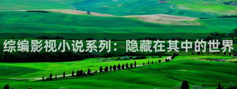 国产精品99视频：综编影视小说系列：隐藏在其中的世界