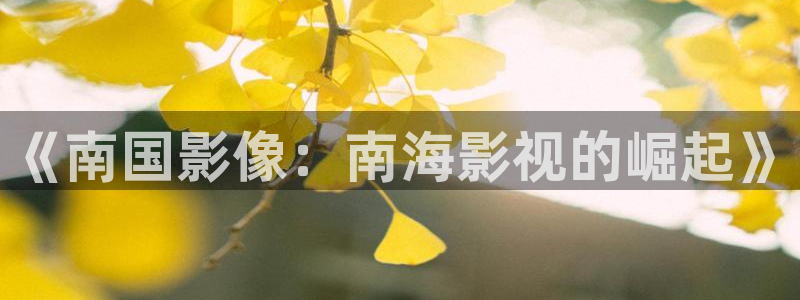 99视频国产热：《南国影像：南海影视的崛起》