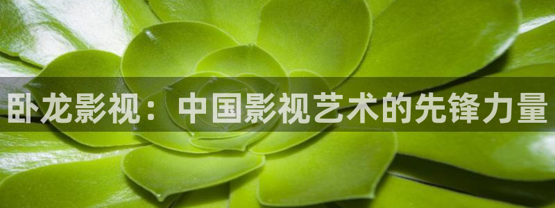 北条麻妃99视频