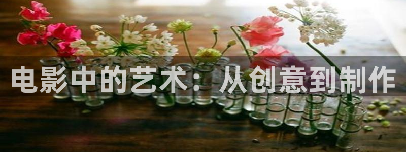 99视频15精品视频在线观看