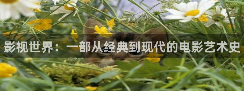 99视频观看免费