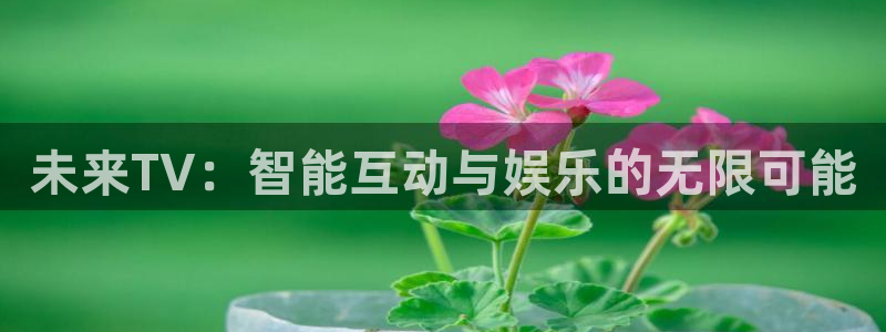 成人99视频