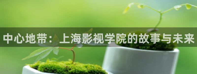 99视频网站在线观看
